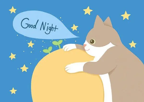 Good night