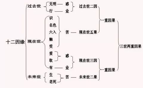 什么是十二因缘？