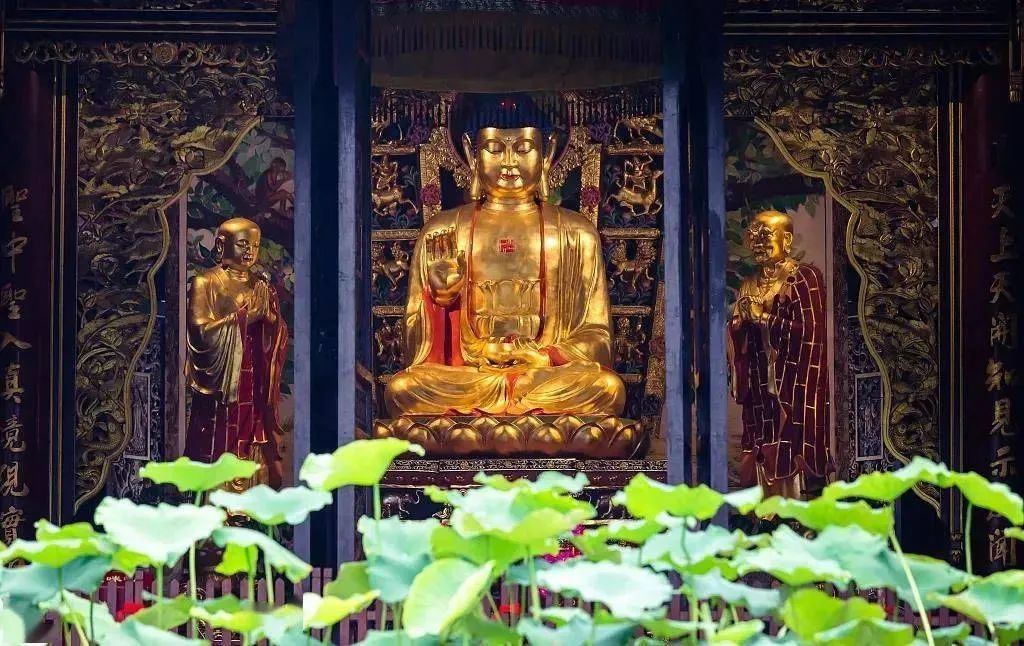 什么叫护法？